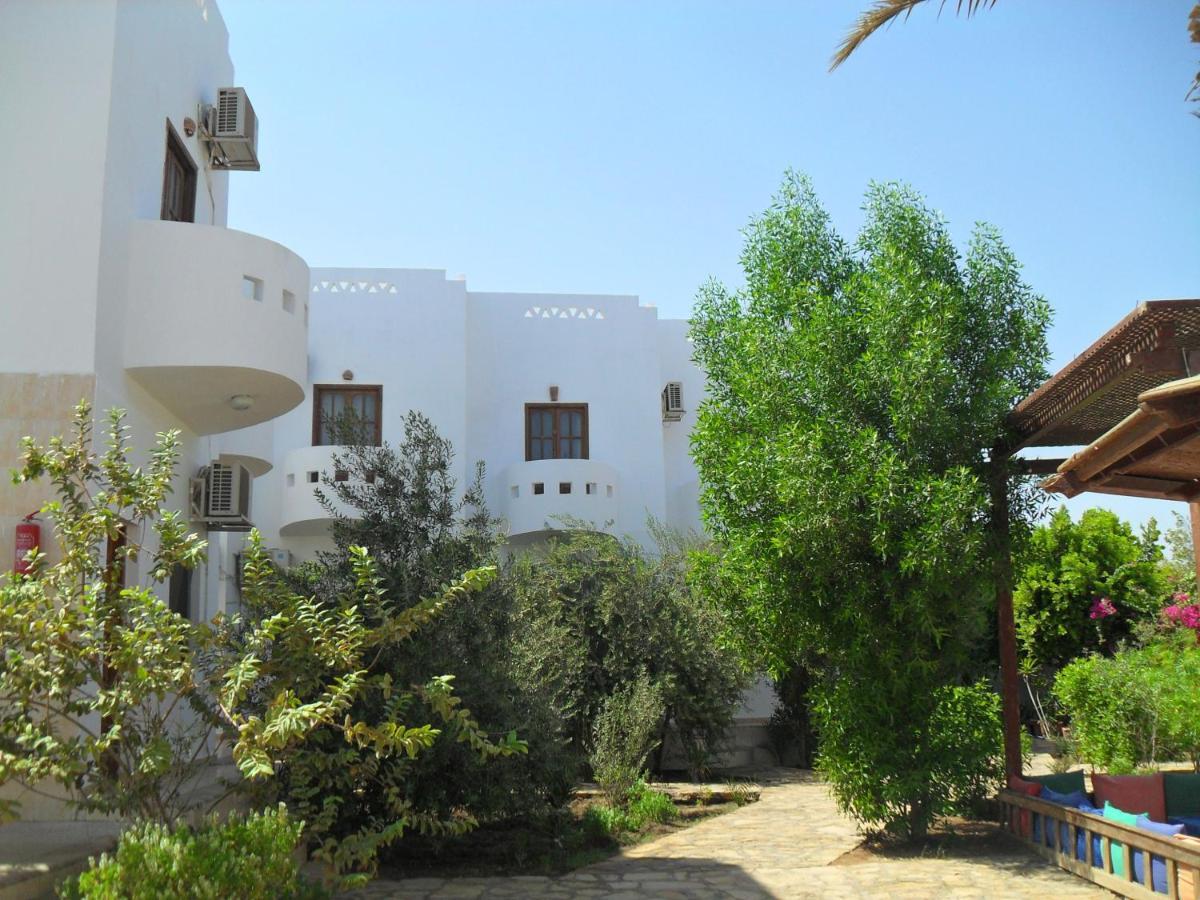 Alaska Camp & Hotel Dahab Rom bilde